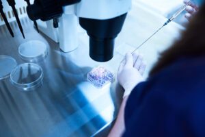Microscópio de reprodução humana assistida.