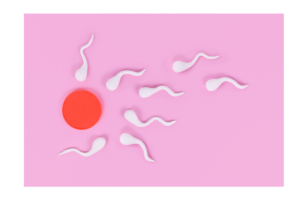 Inseminação